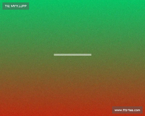 赛车赛事宏伟蓝图：详细规划未来五年的赛道建设车队发展和赛事推广